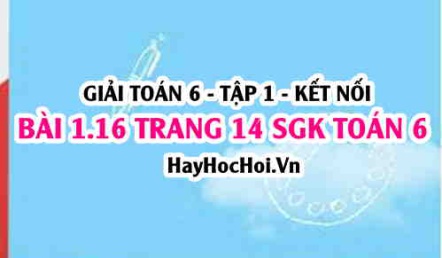 Giải bài 1.16 trang 14 Toán 6 Tập 1 SGK Kết nối tri thức